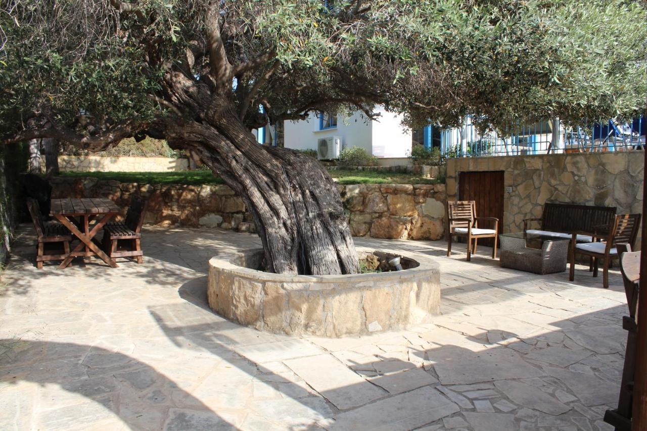 Olive Beach Villa Peyia Esterno foto