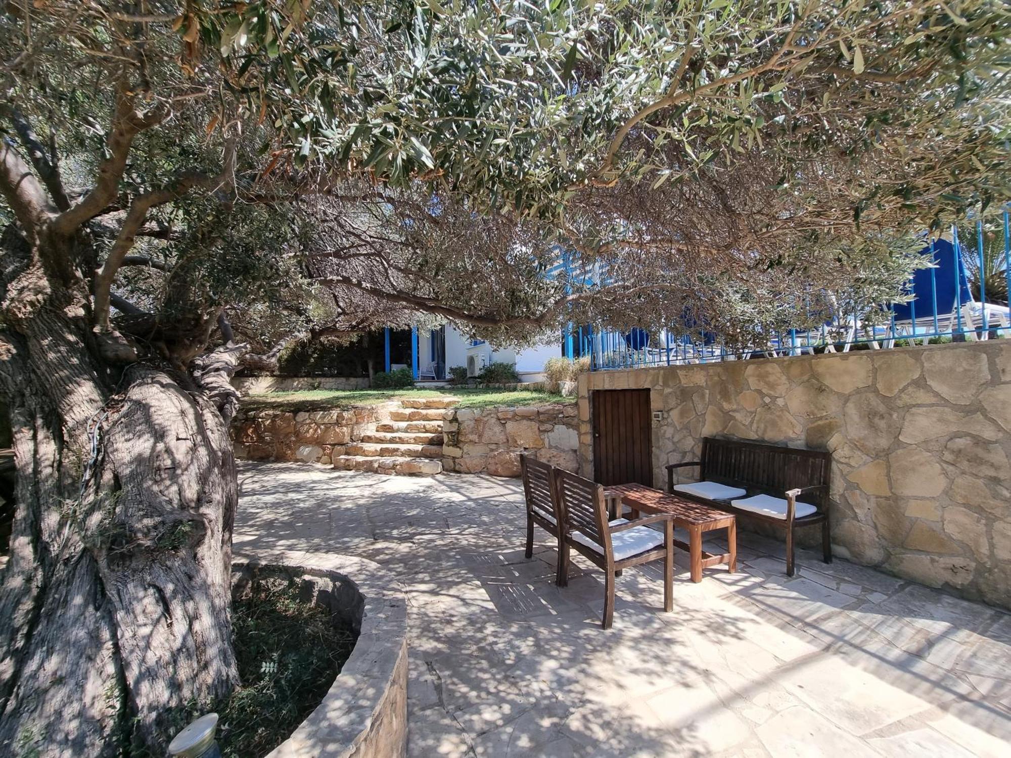 Olive Beach Villa Peyia Esterno foto